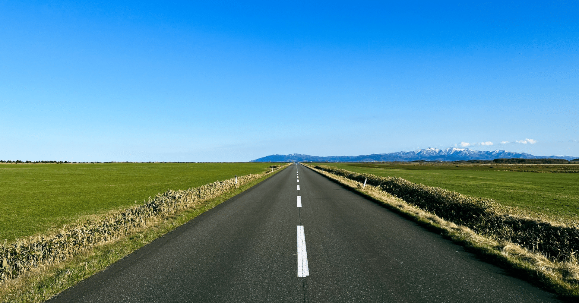 小学校受験 新年長】GWまでに勝負が決まるってホント？！｜モンステラ