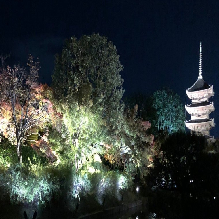 東寺の夜｜明石 白（歴史ライター）