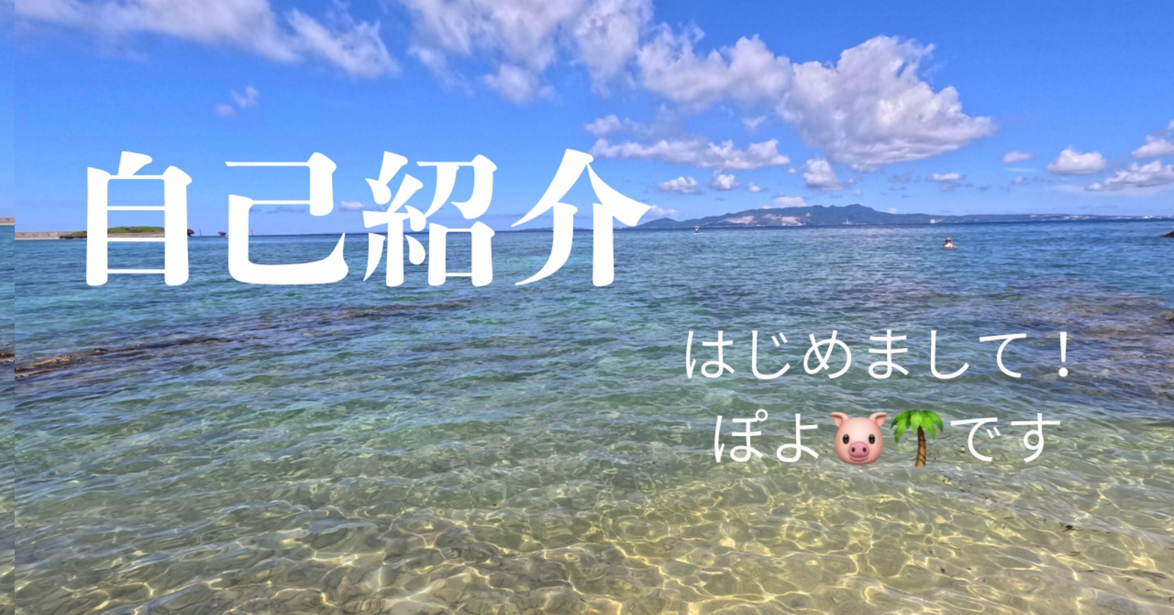 はじめまして！ぽよです🐷🌴自己紹介｜ぽよ🐷🌴