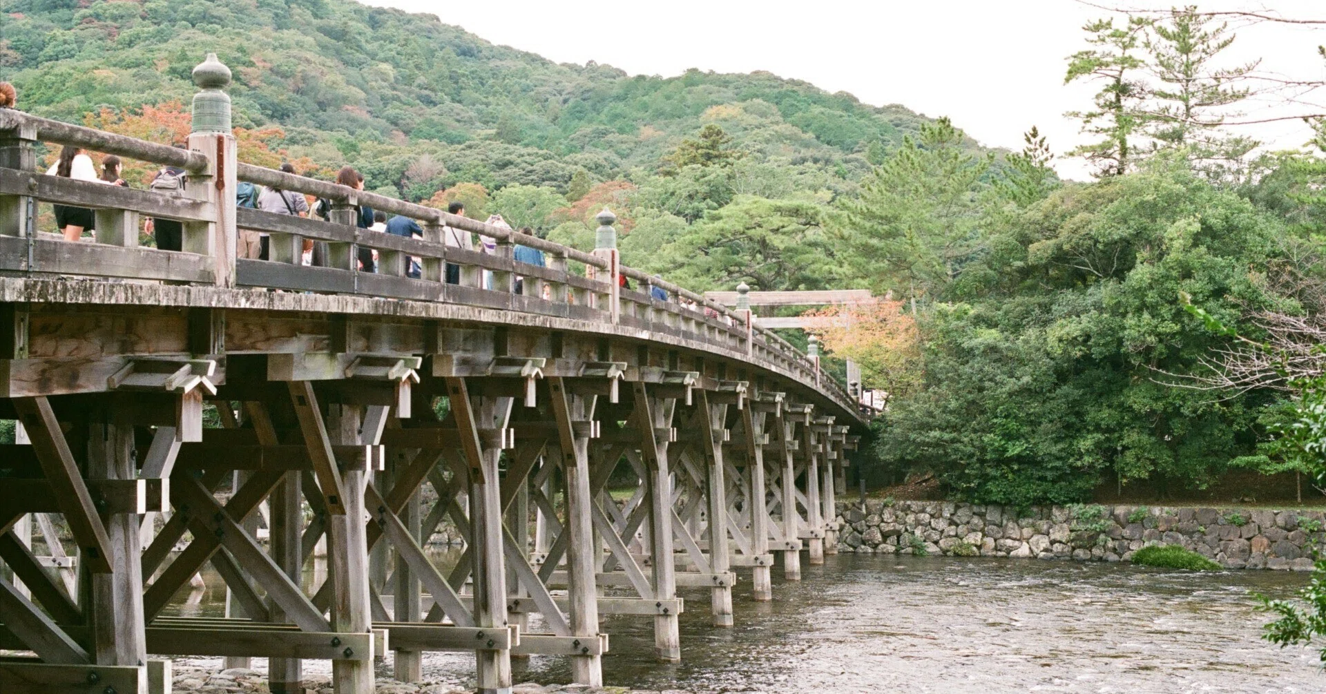 フィルムカメラと伊勢鉄道旅∣NikonFM2と観光特急しまかぜ｜あなでじ