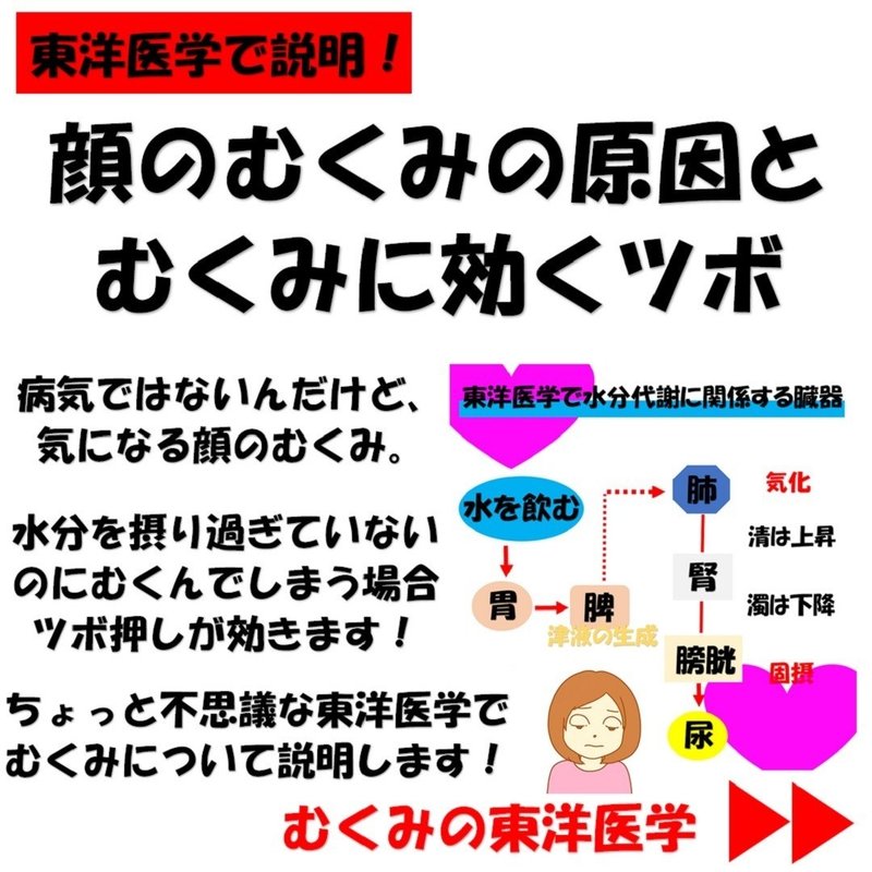 東洋医学で説明 顔のむくみの原因とむくみに効くツボ Revisionginza Note