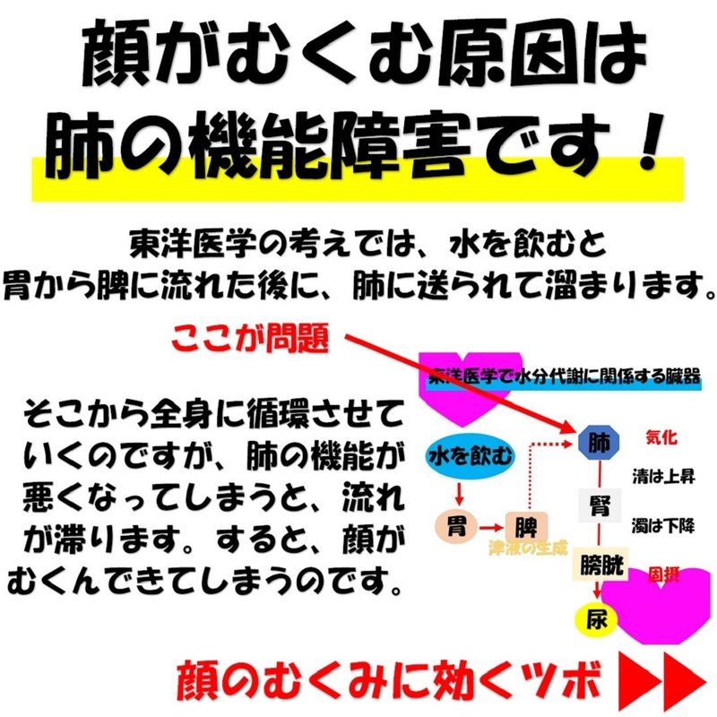 東洋医学で説明 顔のむくみの原因とむくみに効くツボ Revisionginza Note 東洋医学で説明 顔のむくみの原因とむくみに効くツボ Revisionginza Note