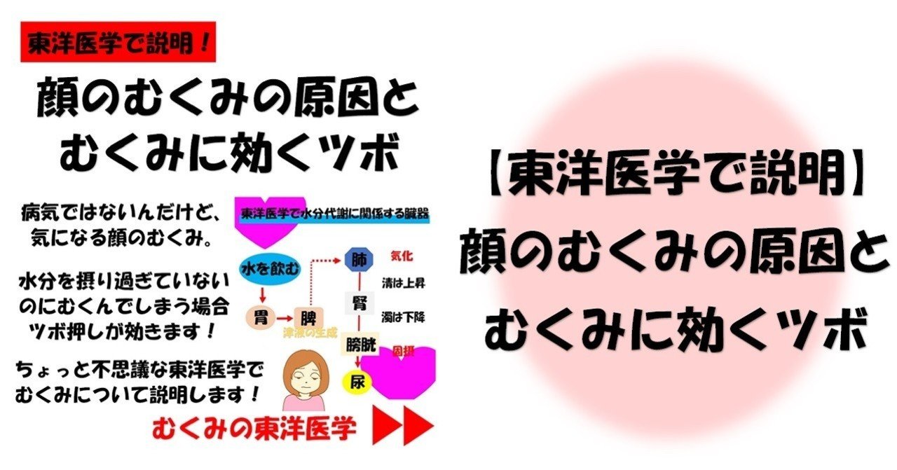 東洋医学で説明 顔のむくみの原因とむくみに効くツボ Revisionginza Note