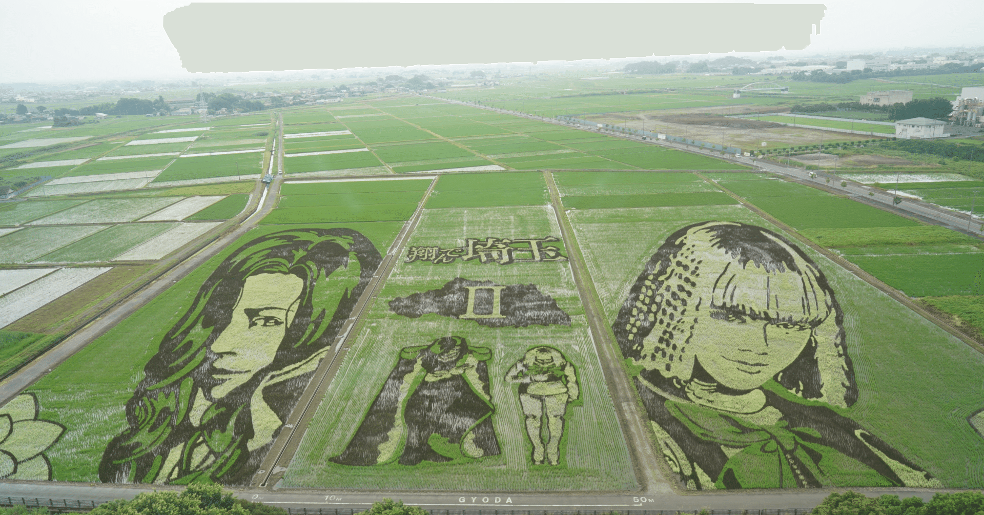 田んぼアート紹介動画が1800万再生｜織原松治