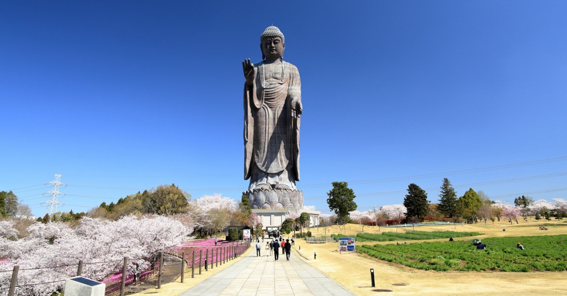 0560 奈良の大仏が手の平に乗る、日本一120m「牛久大仏」（茨城県