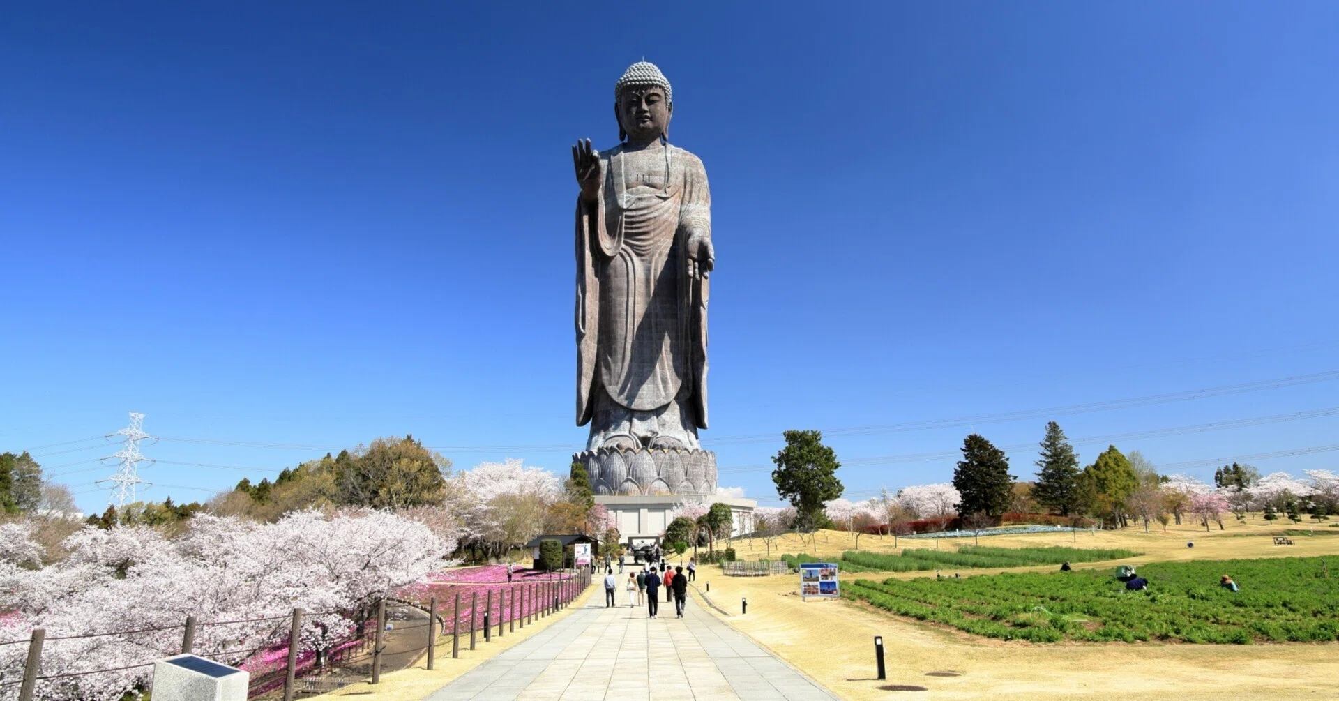 0560 奈良の大仏が手の平に乗る、日本一120m「牛久大仏」（茨城県