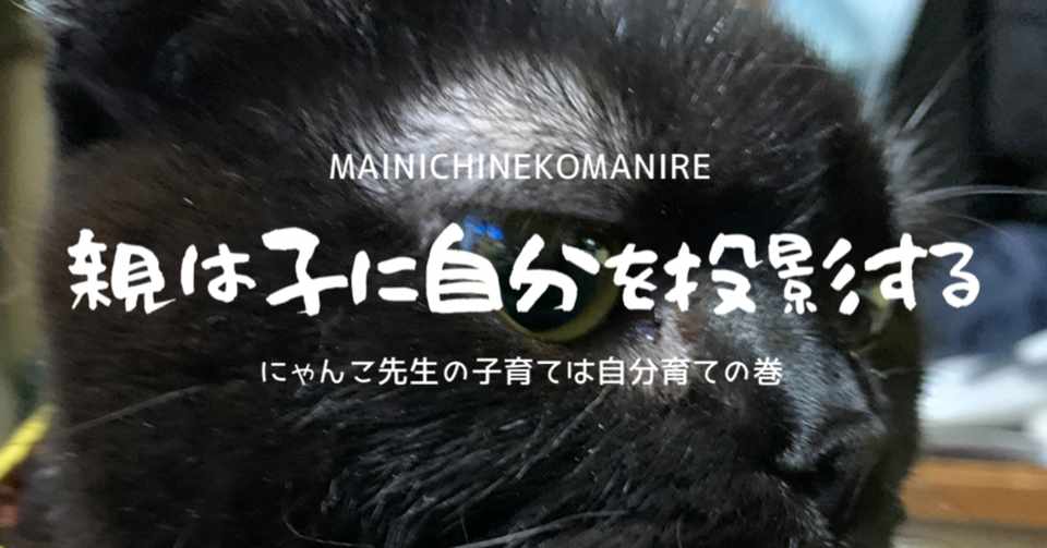 親は自分の欠点を子供の中に見出してその欠点を咎めるにゃ るー Note