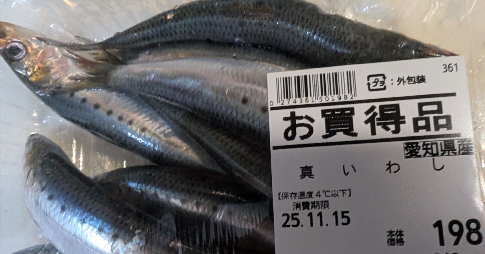 いわし！と。｜明日の風♡