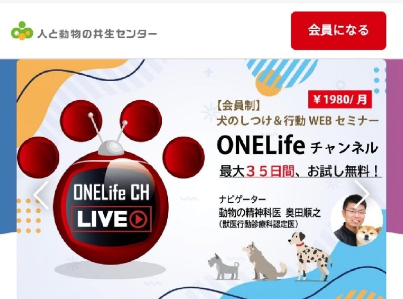 怖がりな犬のトレーニング方法とは 犬に関わって生活をする人必須情報 清水絵里奈 Note 怖がりな犬のトレーニング方法とは 犬に関わって生活をする人必須情報 清水絵里奈 Note
