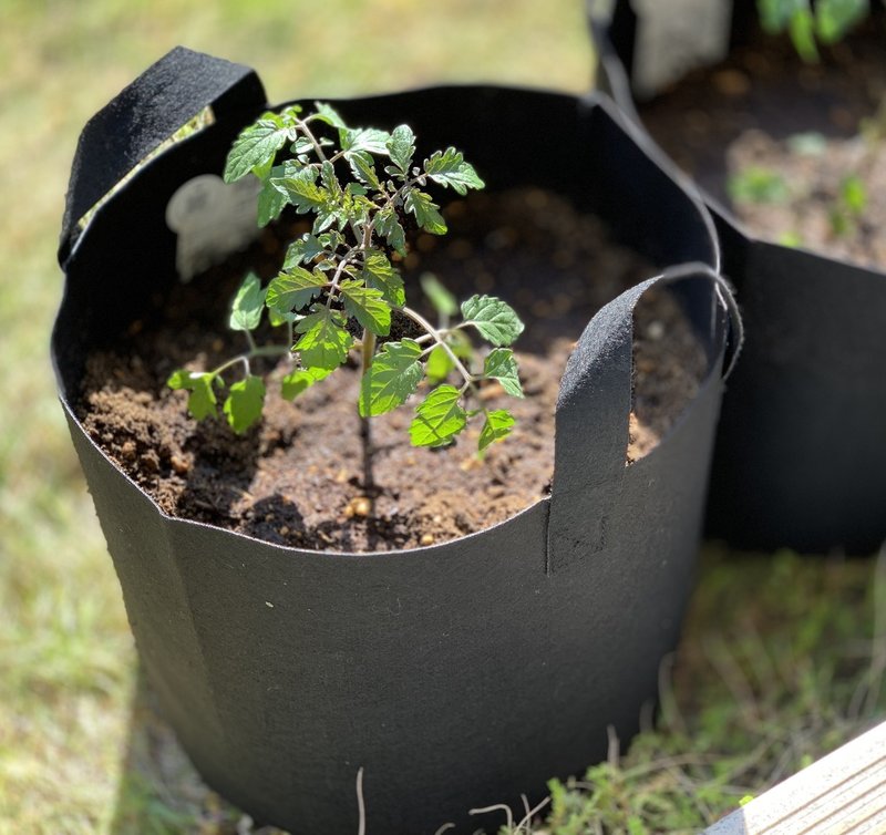 フェルトプランターで家庭菜園したらオシャレだった カトウケイコ アップサイクルおばさん Note