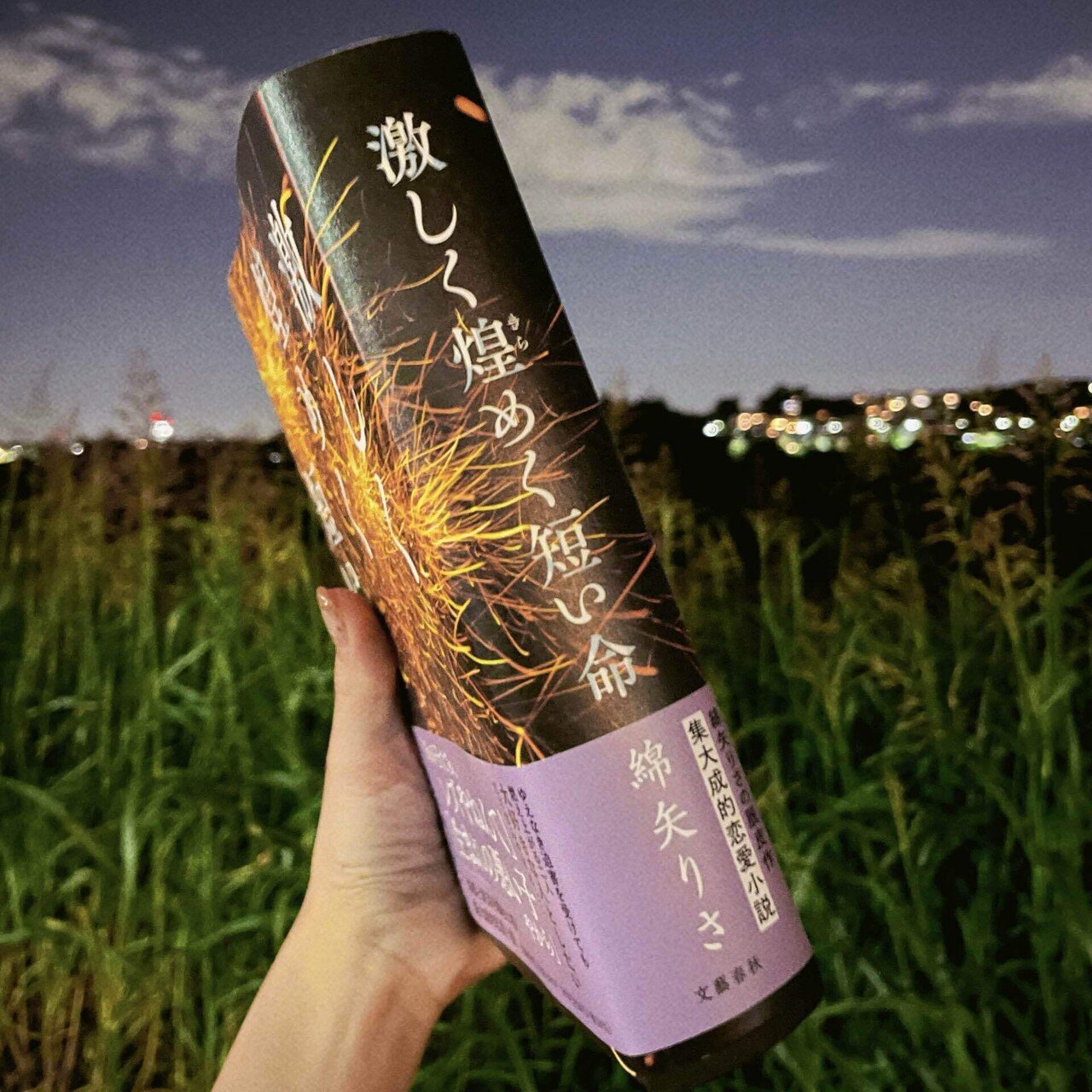 揺らぐ心と身体を描ききった痛いほどの恋愛小説――綿矢りさ『激しく