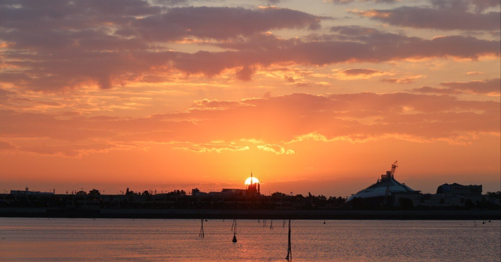 葛西臨海公園の朝景_20251115｜Toru Shiratori