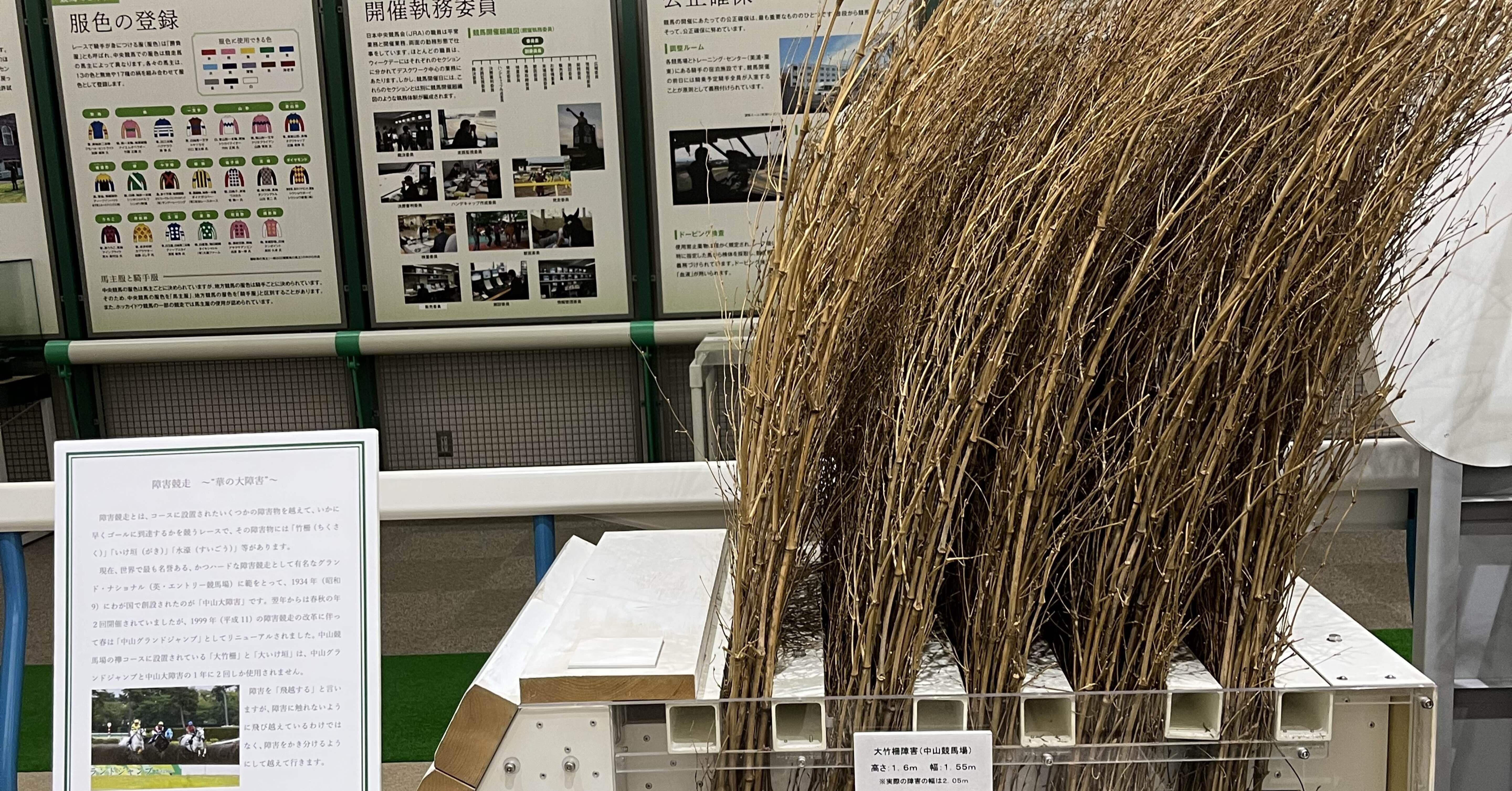 競馬占いと作戦 【書き込みあり】 つるペカ☆ | #馬物語 #佐賀馬物語 #佐賀競馬専門紙 新刊プリントで