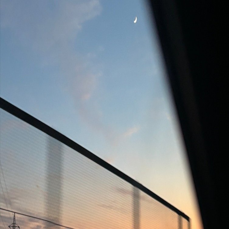 Numb Little Bug と、“ちゃんと幸せじゃない日の正体”｜あお