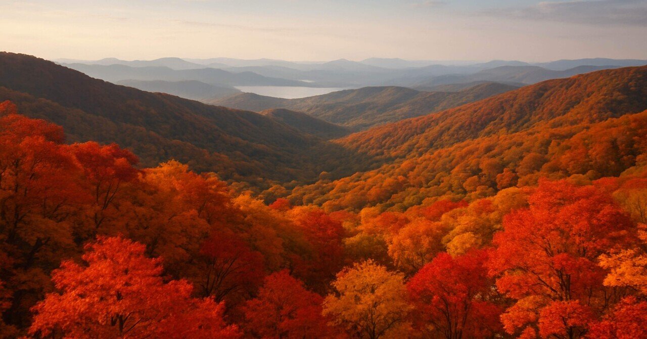 紅葉の季節に、心がそっとほどける昼｜スリープノート-Sleep Note