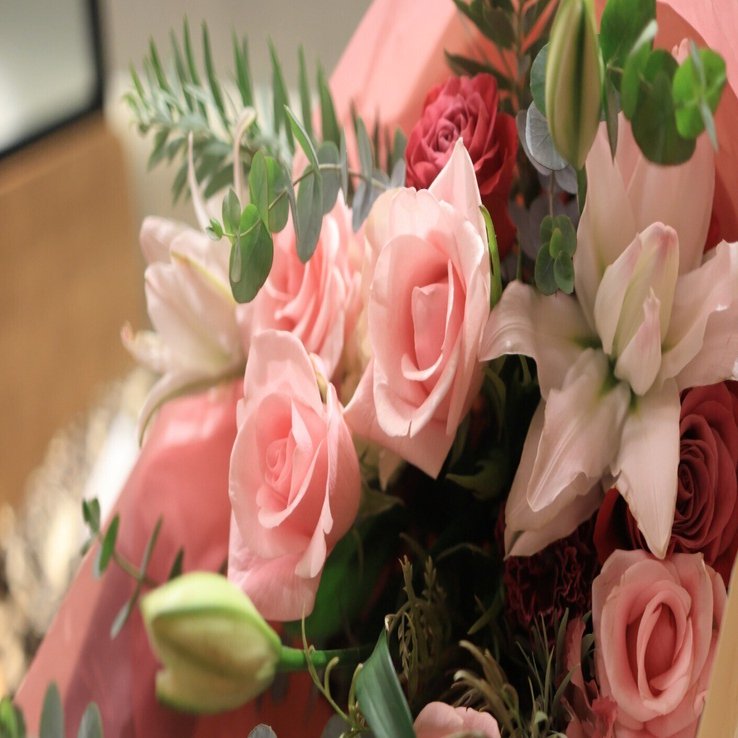 ver.2【ライブメモ】原田知世 『アネモネ』『カリン』リリースツアー