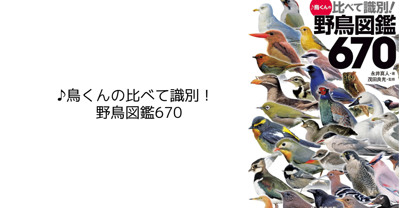 ♪鳥くんの比べて識別！野鳥図鑑670｜趣味鳥