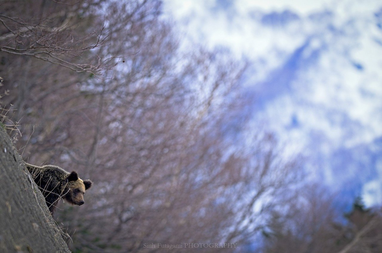 春色の空 Sinh Note
