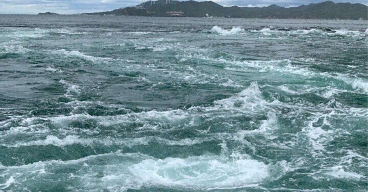 Tidal conditions are a matter of luck｜パイネコ