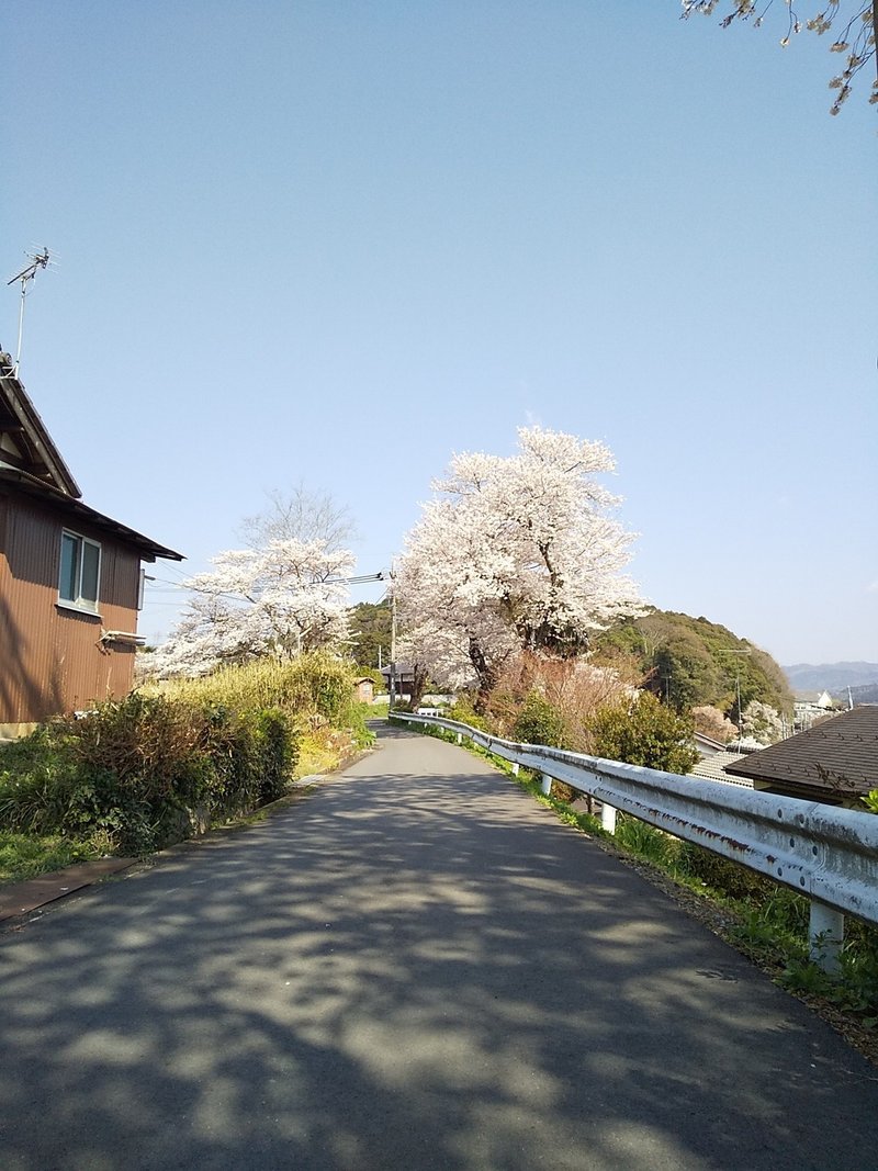 希望の言葉を受け継ぐ つきこ Note 希望の言葉を受け継ぐ つきこ Note
