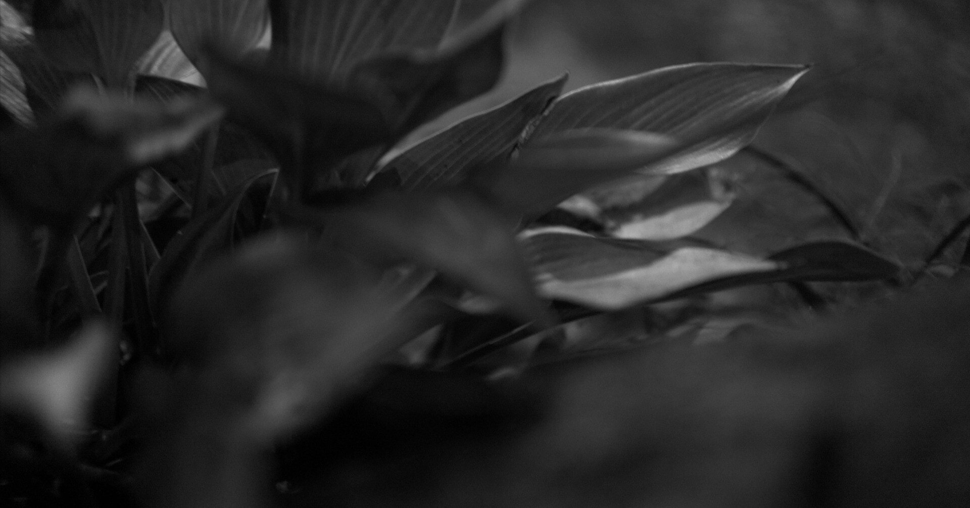 モノクロ ミイラ写真 Sphinx of black quartz, judge my vow. – Untitled, 2025 Acrylic on