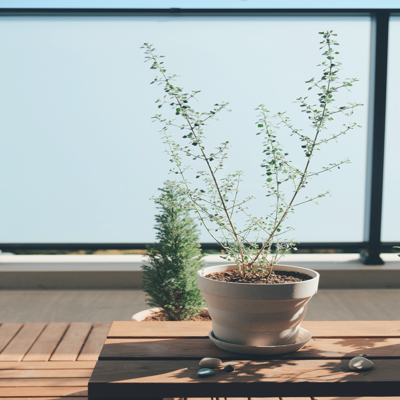 雨に包まれたあの日、立ち止まって初めて見えたもの｜さいとうえみり