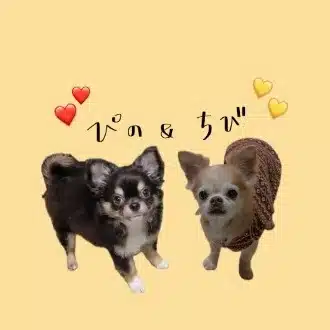 まーこちゃん