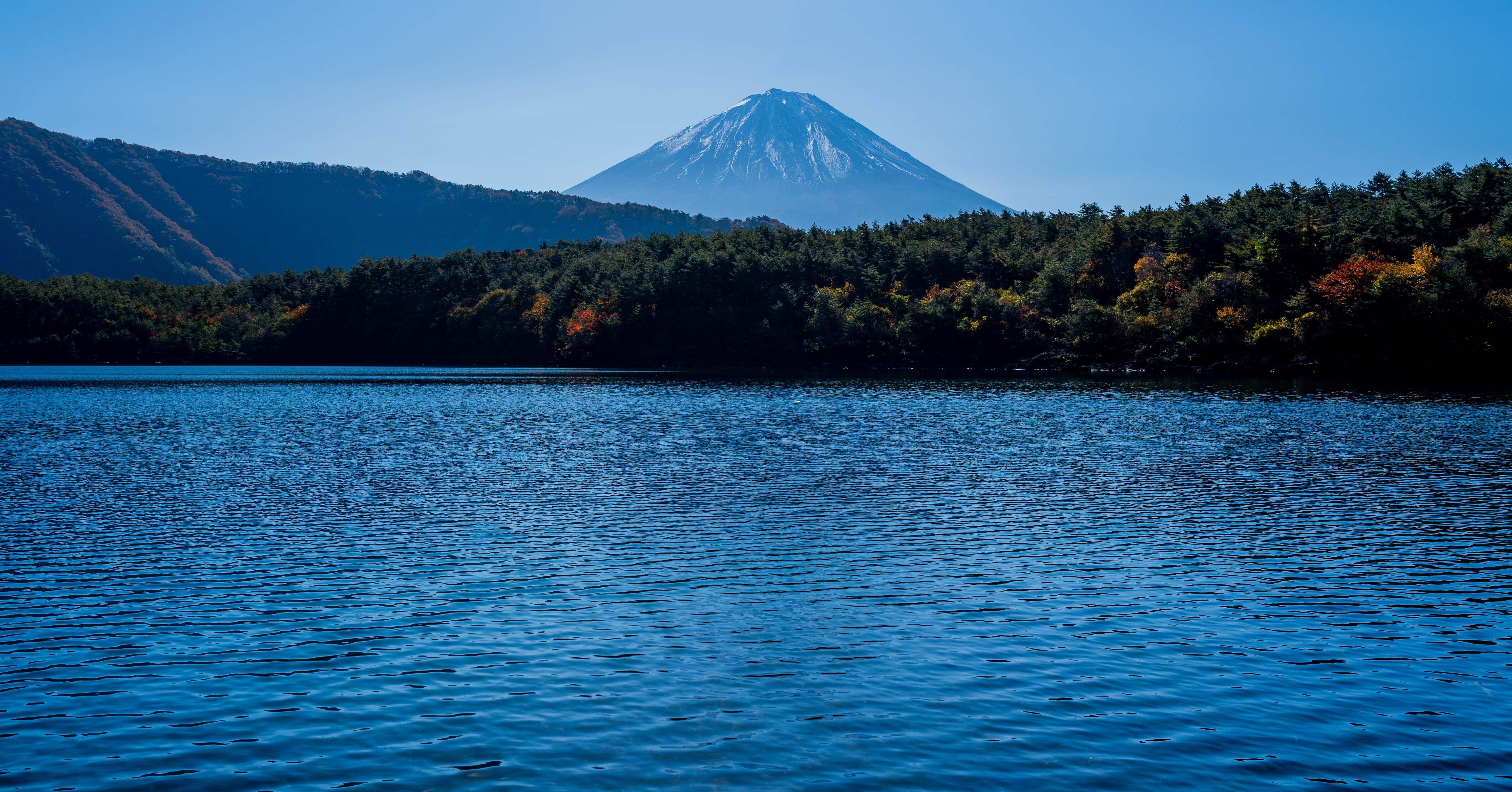 西湖 / Lake Saiko【2025】(Yamanashi, Japan)｜N.Hagimoto