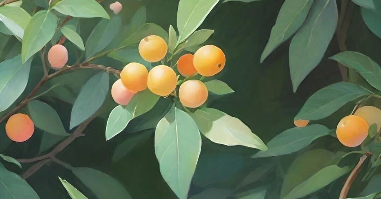 What is 'Structuring'? (A Summary of ChatGPT's Analysis on Poetry)｜春翠葉