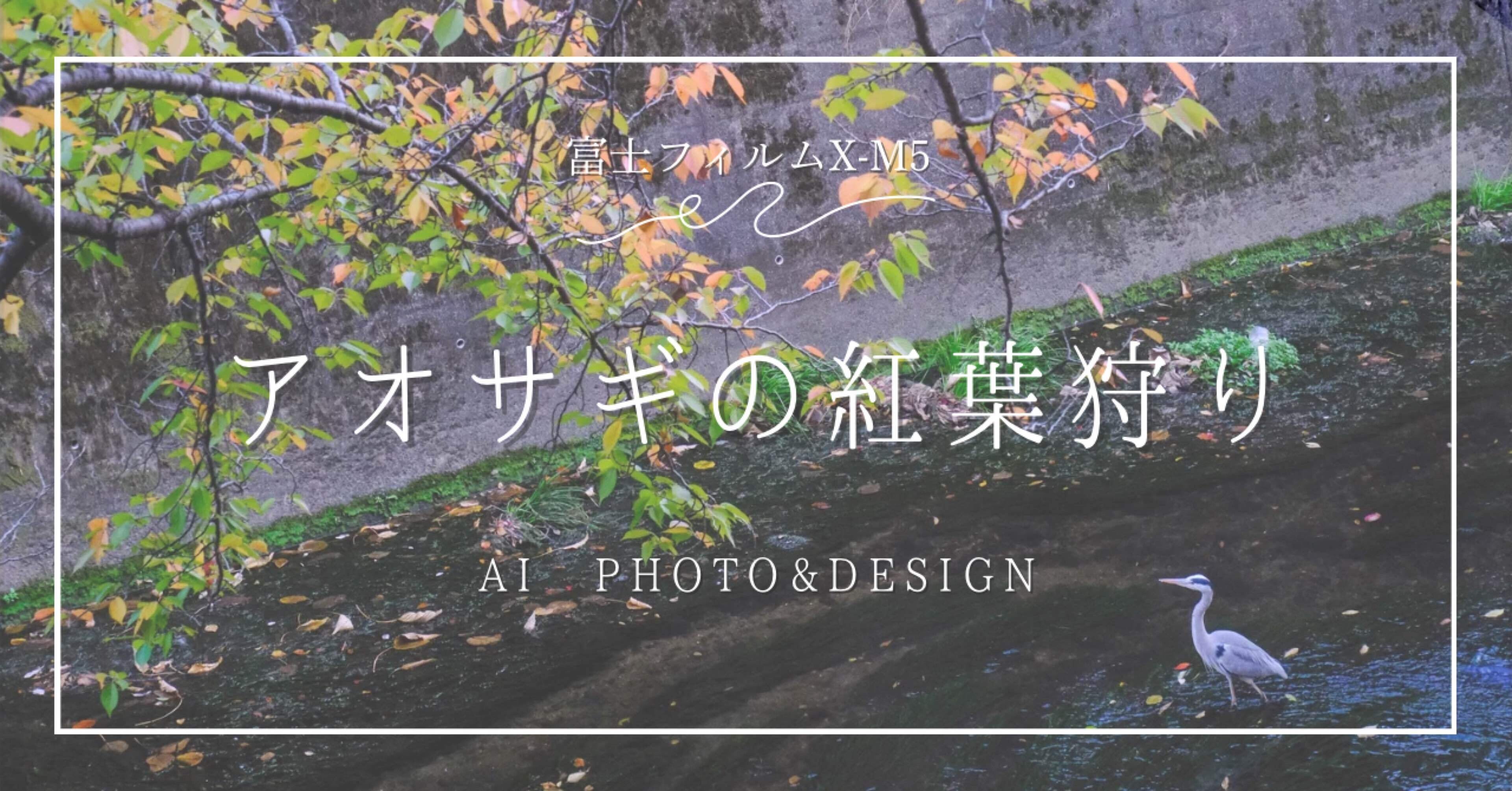 日常カメラの楽しみ方X-M5でご近所紅葉スナップ🍁｜ai𓂃 𓈒𓏸