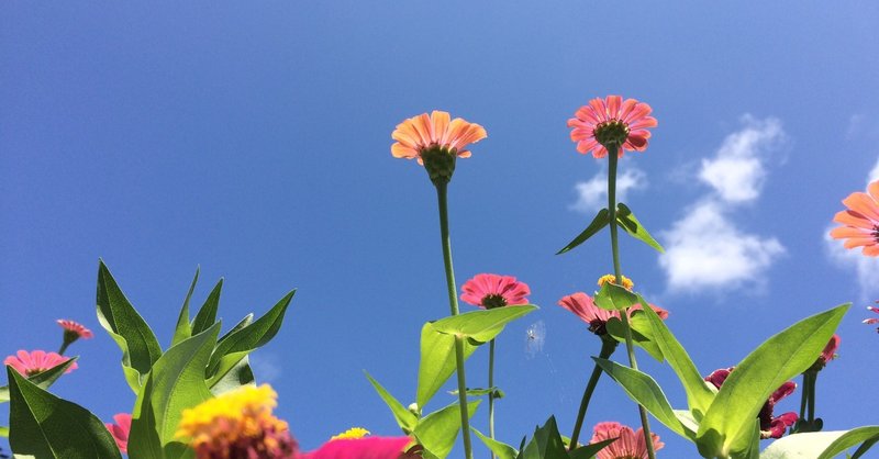 再読 語彙力こそが教養である らいとらいたあ Note 再読 語彙力こそが教養である らいとらいたあ Note