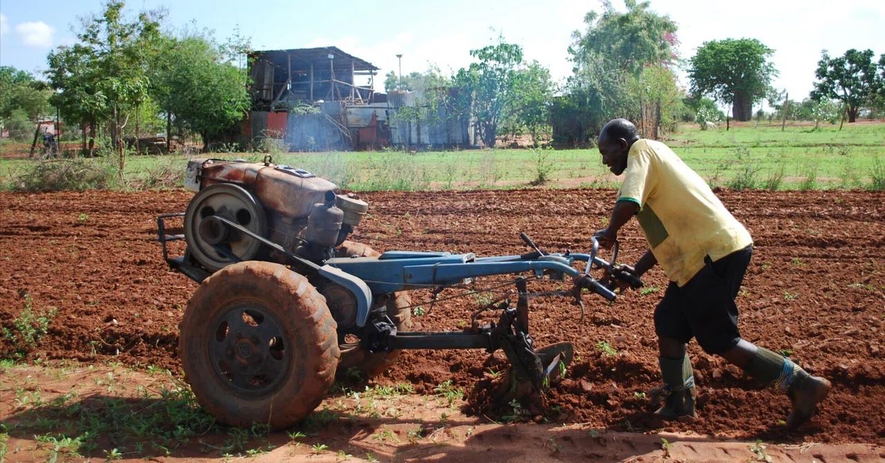 Improving Agricultural Production Efficiency in Africa - Towards the ...