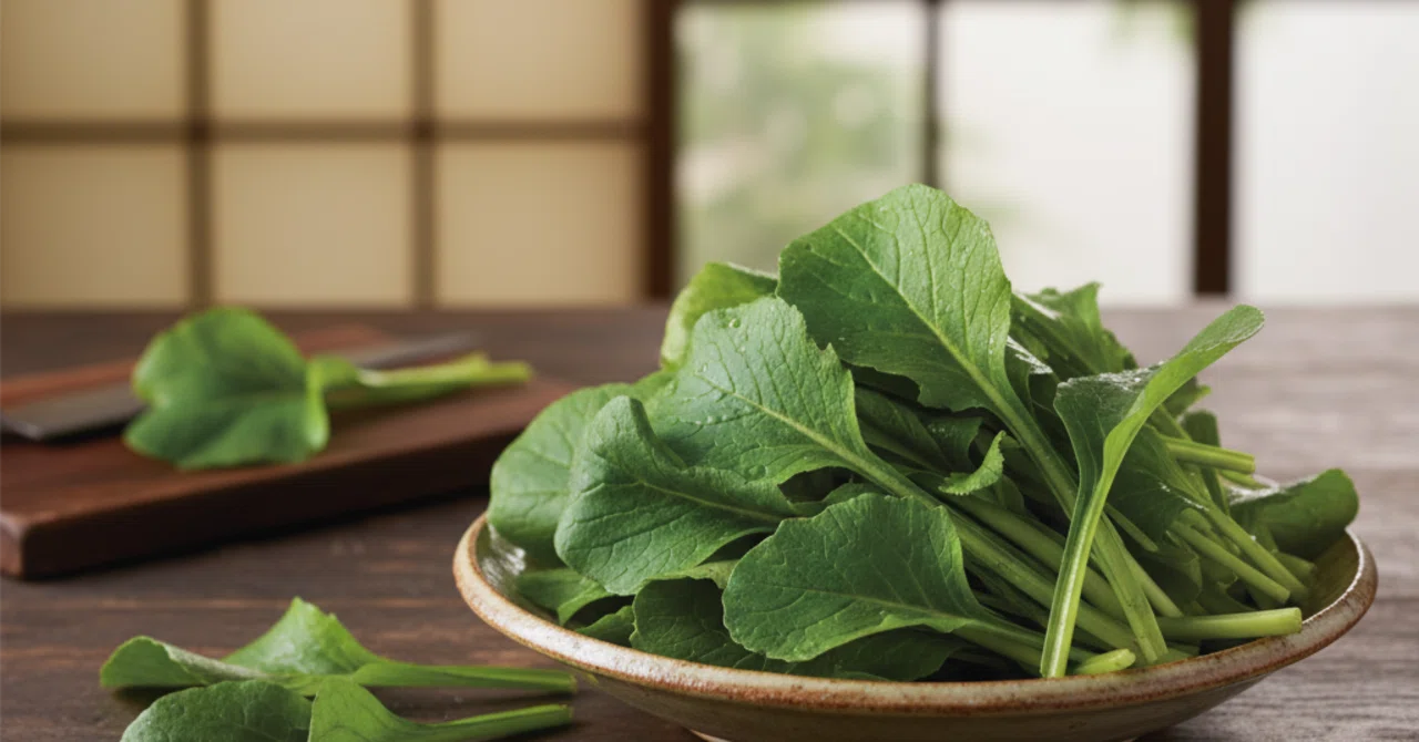 🥒しゃくしなのシャキ旨を味わう簡単おつまみ3選｜ぴのきお