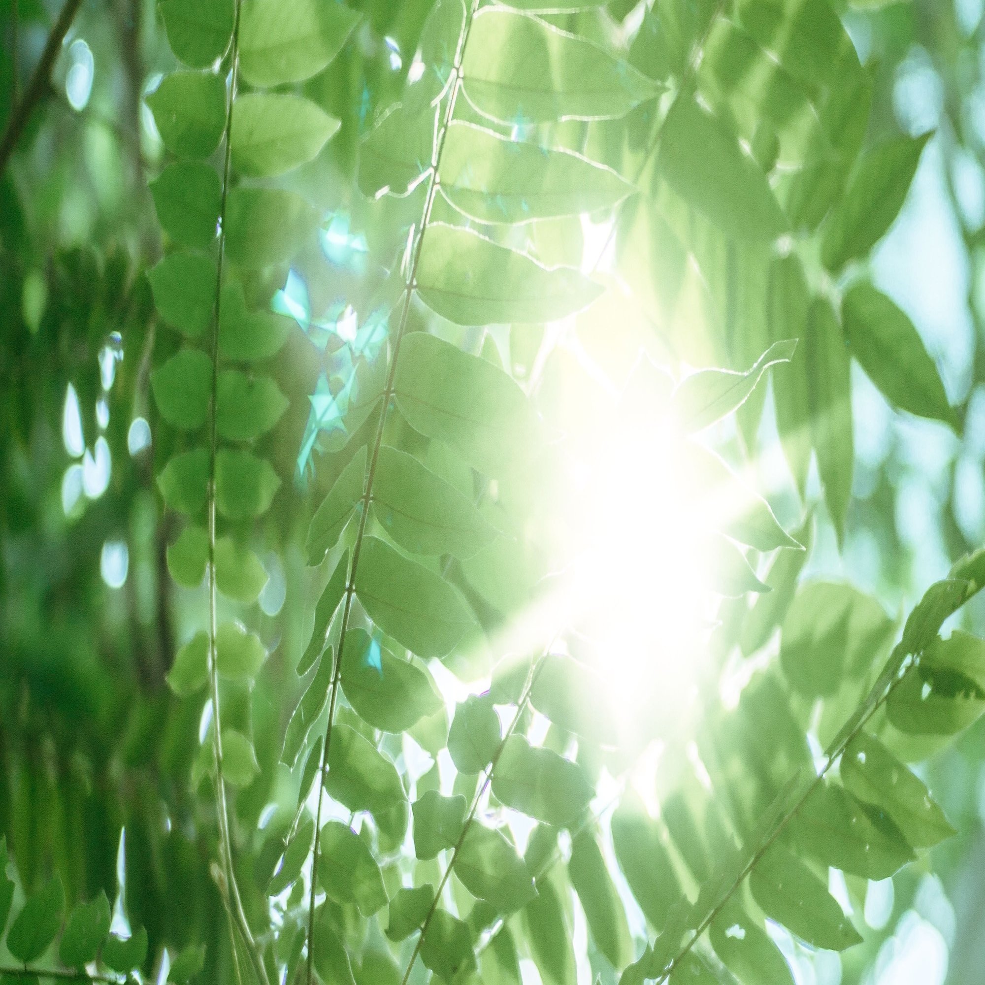 私にとっての 人生のパンチライン しがないしんちゃん Note