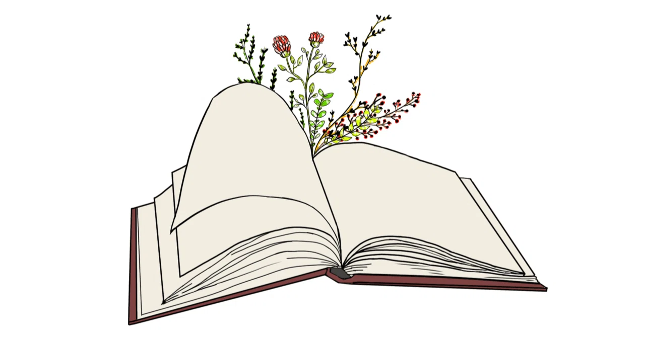 Books I enjoyed reading in October｜廻る猫