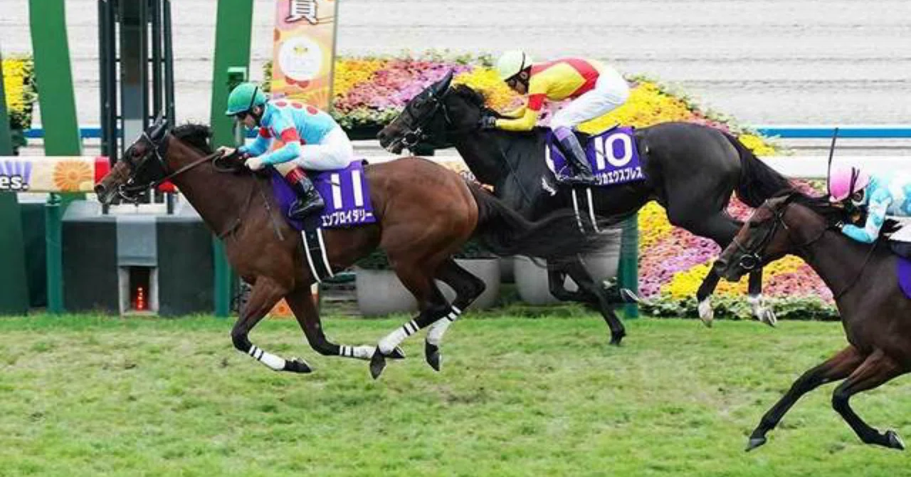 武豊 逃げ 馬