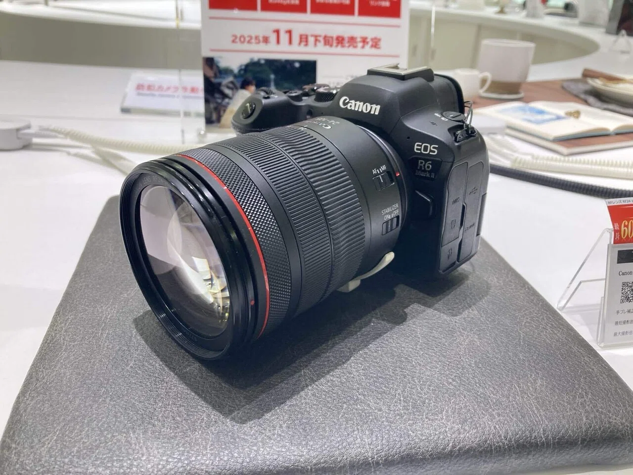 【極美品】Canon EOS R6 ボディ　シャッター数10,004回！ ジャパン Canon EOS R6 ボディ シャッター数10,004回！ 【公式通販】