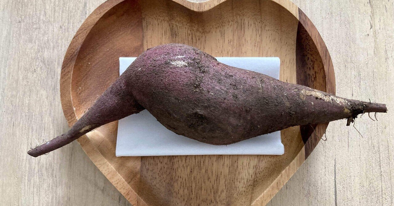 芋マイスター※他の方のご購入はご遠慮ください おいしいさつまいも 栽培スターターセット| 種・苗・ガーデニング用品