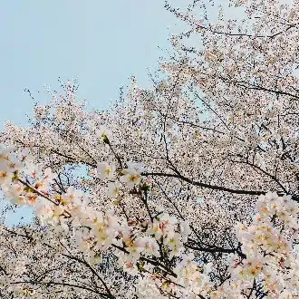 てあ