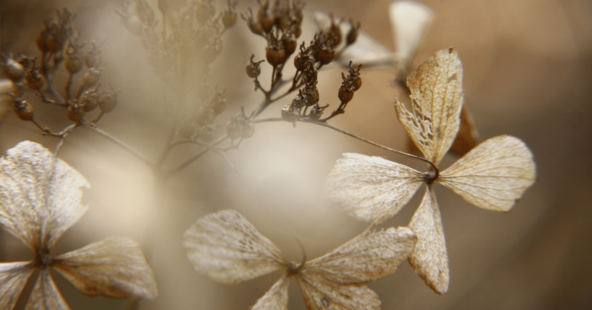 モーリス・ユトリロ展を見て｜mika