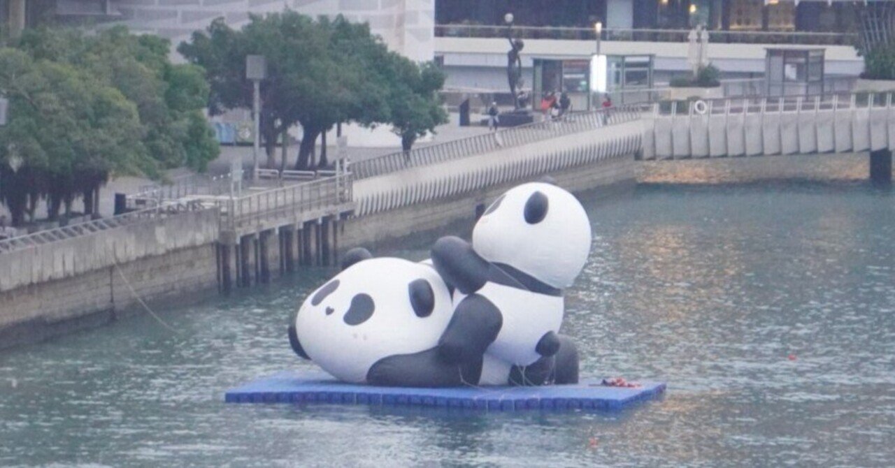 ピースボートV119 ２９ 自主企画 前半に出会った動物た｜80(Eighty), image size:1280x670