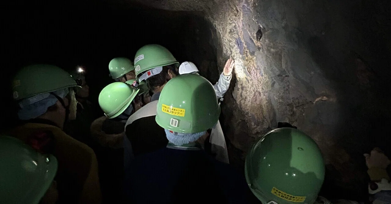 ガイド必須】島根県2025秋の謎なおでかけ4☆世界遺産 石見銀山｜謎な