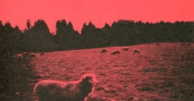 Syrup16g「Hell-See」｜sophian_tetsuo