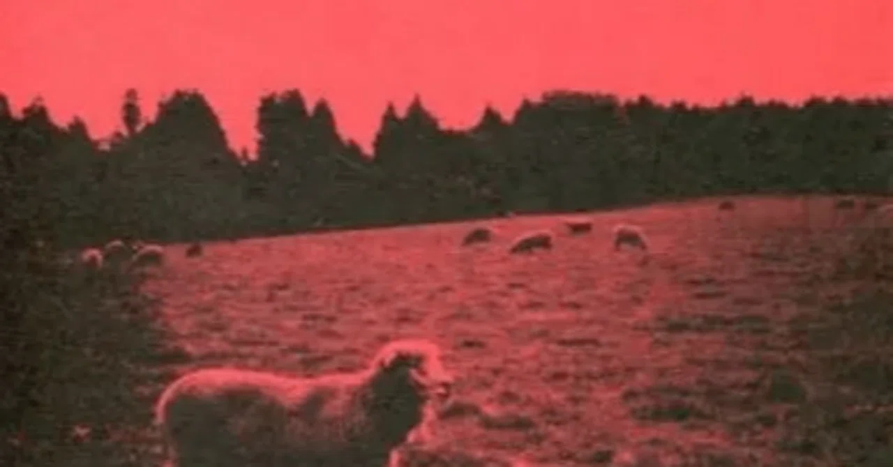 Syrup16g「Hell-See」｜sophian_tetsuo