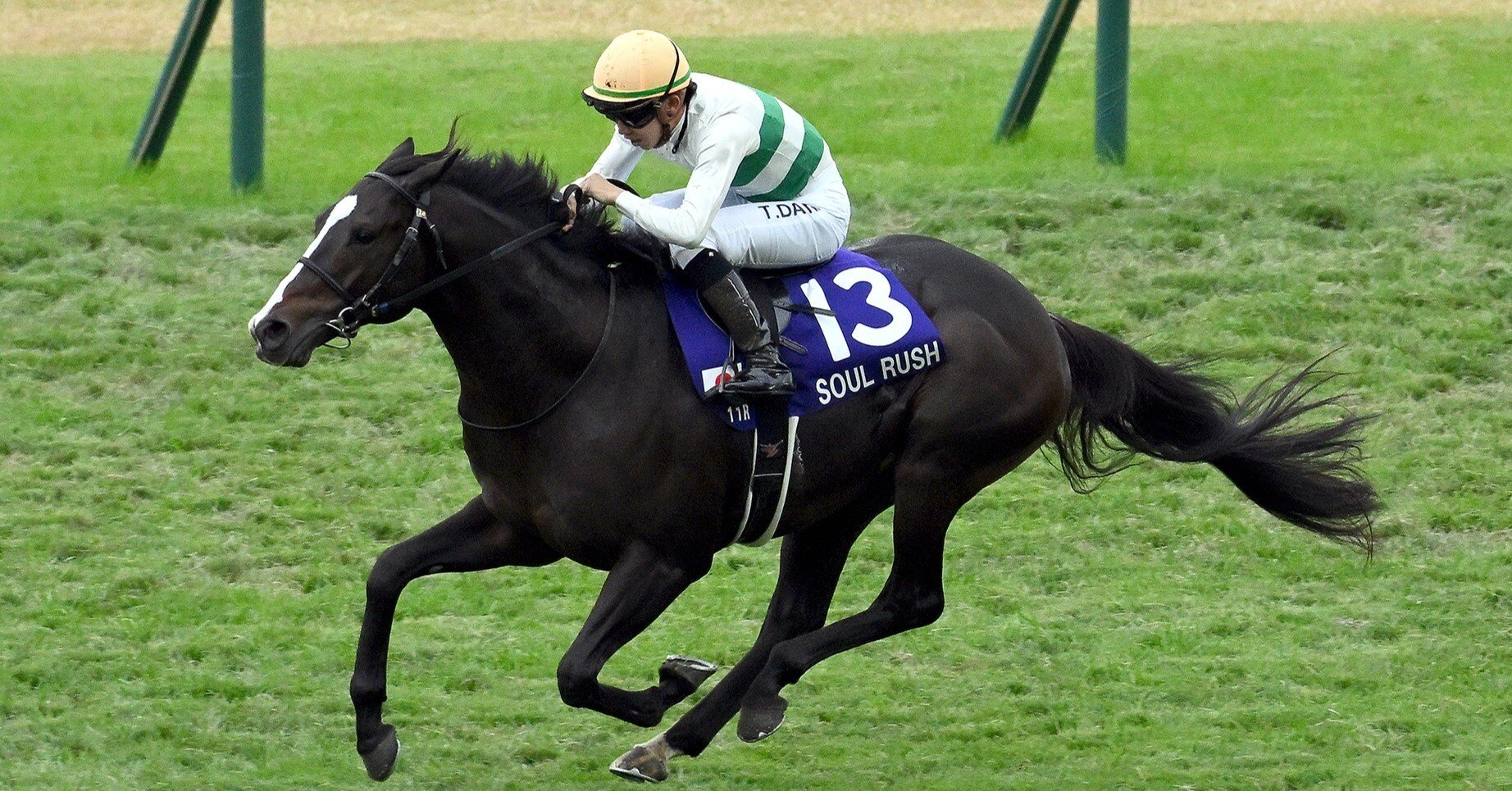 データ編】マイルチャンピオンシップ2025：データが示す秋のマイル王者