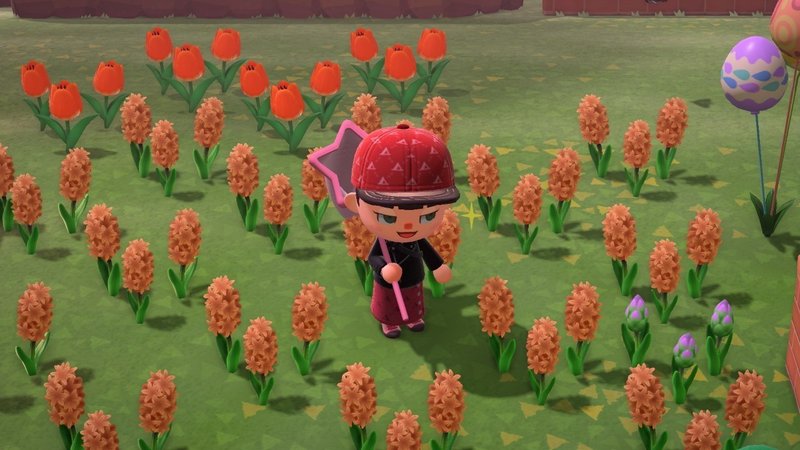 どうぶつの森ヒヤシンス紫 あつ森 花の交配表と種類一覧丨花畑のレイアウト あつまれどうぶつの森