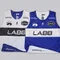 ◆LABB◆ ラボバフットサル ~京都一笑顔でプレーしているフットサルスクール~