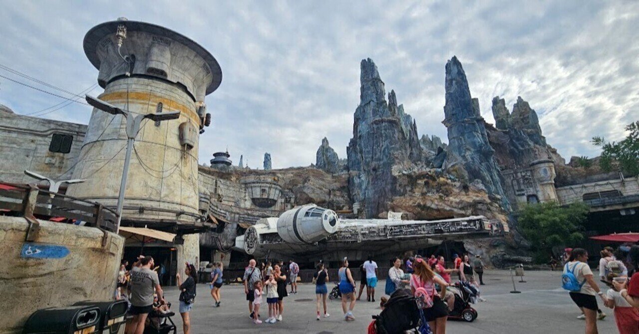 希少 WALT DISNEY WORLD ハンギングウォールプラッター 希少 WALT