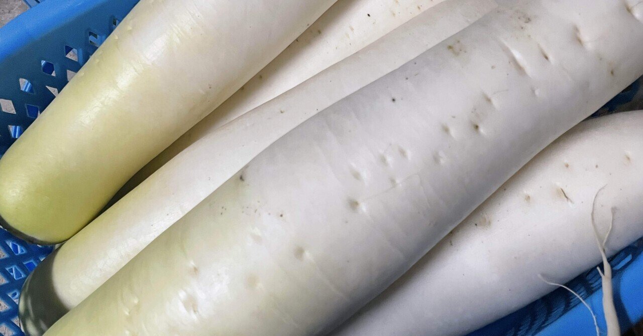 初めて知った大根のこと｜んだシャイン