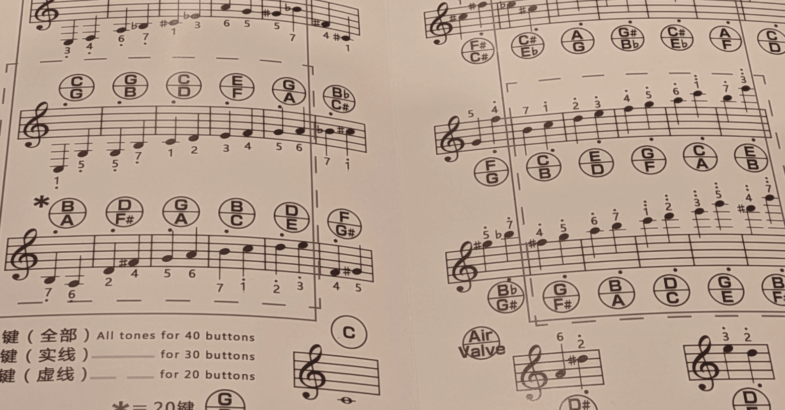 Blazefine Anglo concertina を買ってみた！…コンサーティーナという